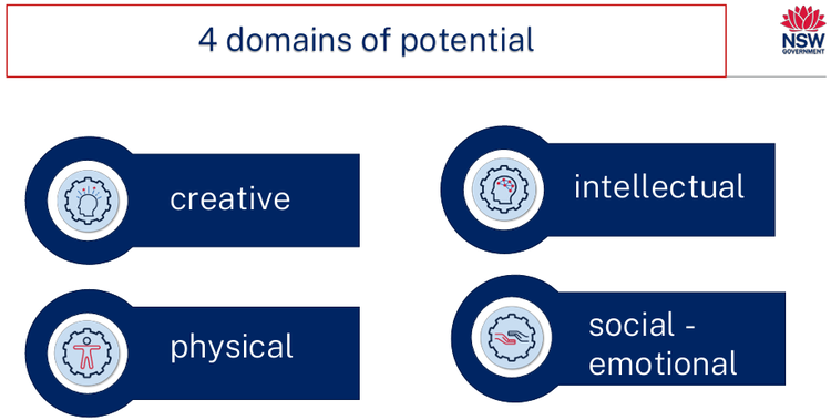 infographic showing the 4 domains of high potential